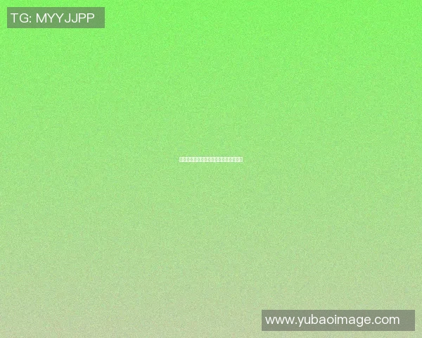 篮球明星基姆的传奇之路与辉煌成就揭秘 篮球明星基姆的传奇之路与辉煌成就揭秘